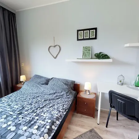 New Whitehouse 홈스테이