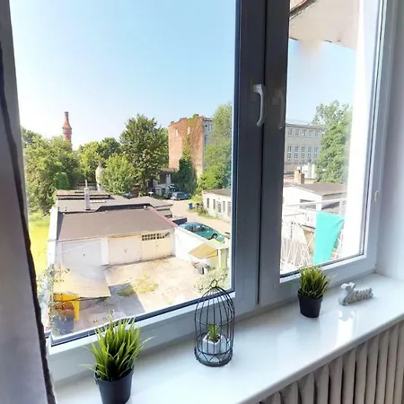 New Whitehouse Проживание в семье